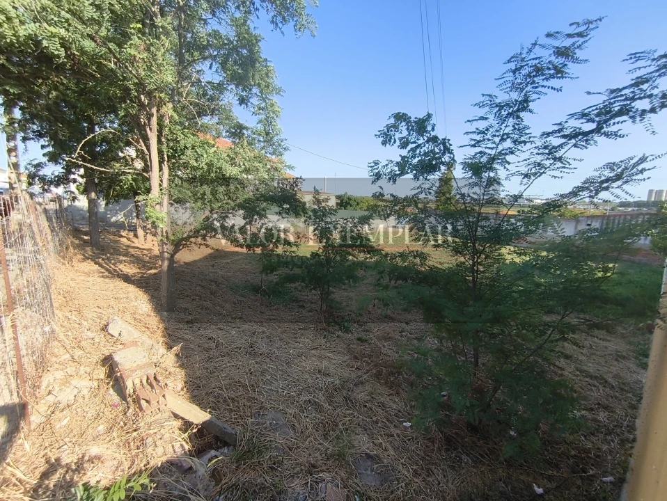 Terreno para Venda em Sado Foto 14