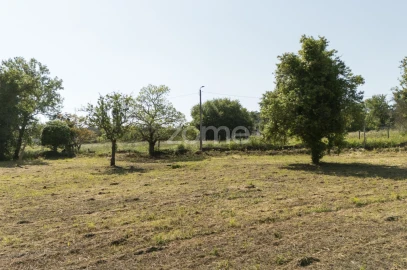 Terreno para Venda em Grijó e Sermonde