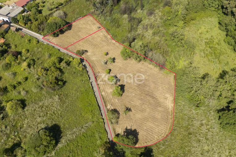 Terreno para Venda em Grijó e Sermonde Foto 3