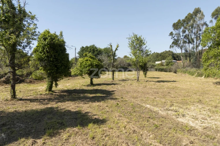 Terreno para Venda em Grijó e Sermonde Foto 7