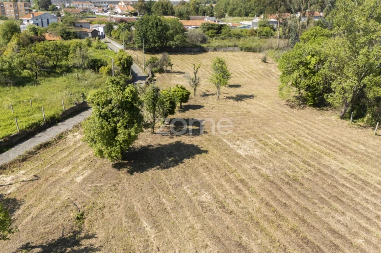 Terreno para Venda em Grijó e Sermonde Foto 8