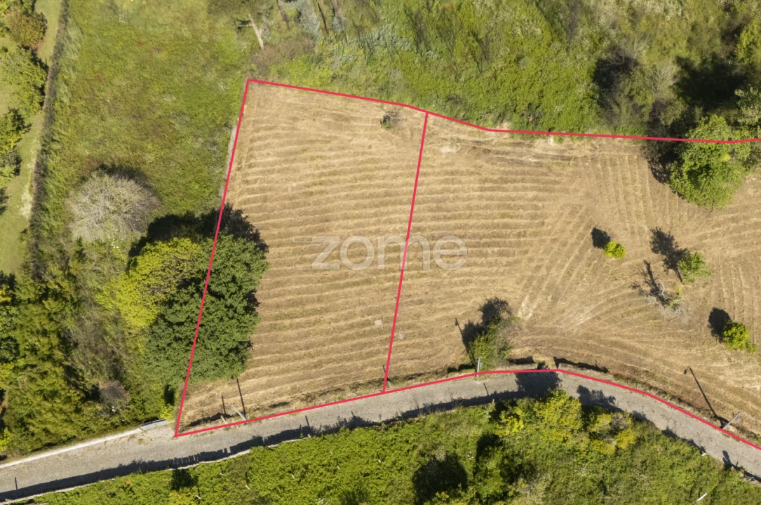 Terreno para Venda em Grijó e Sermonde Foto 5