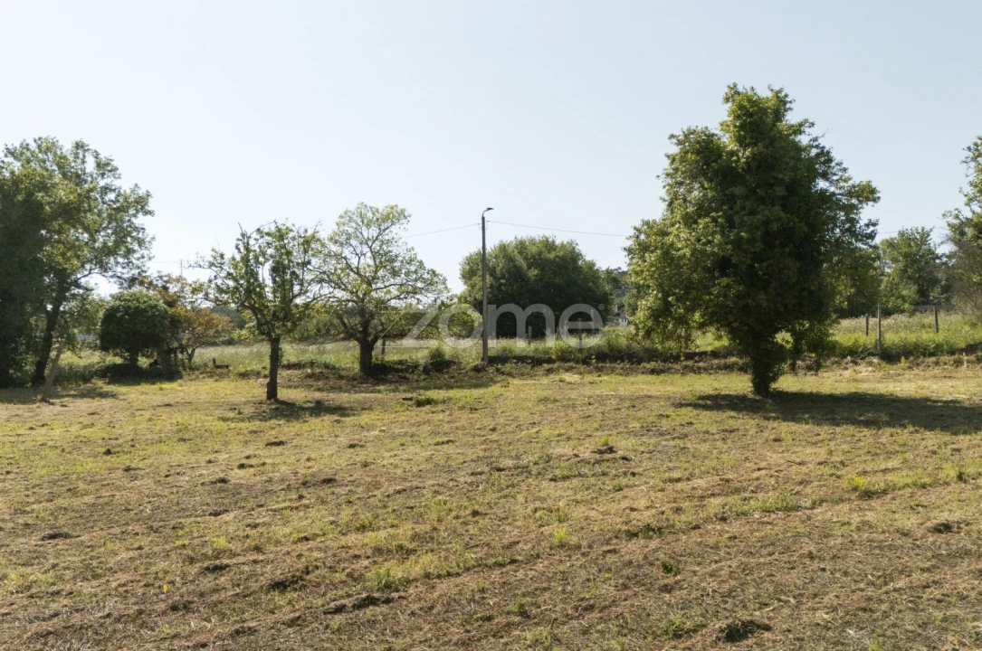 Terreno para Venda em Grijó e Sermonde Foto 13
