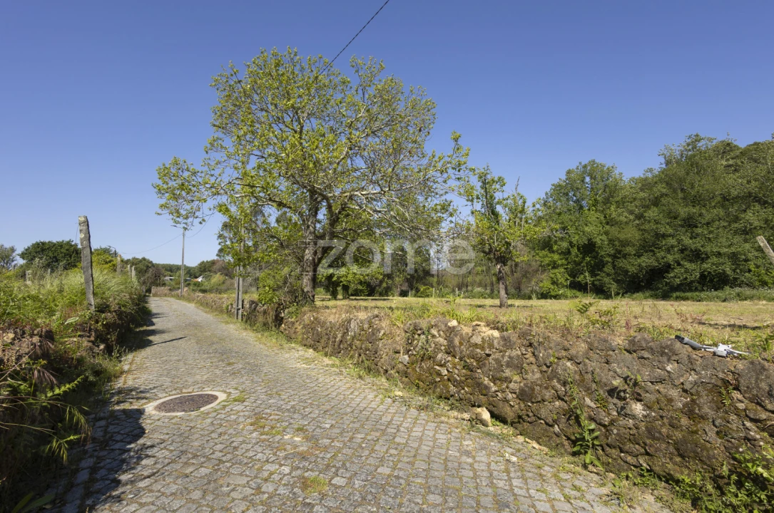Terreno para Venda em Grijó e Sermonde Foto 10