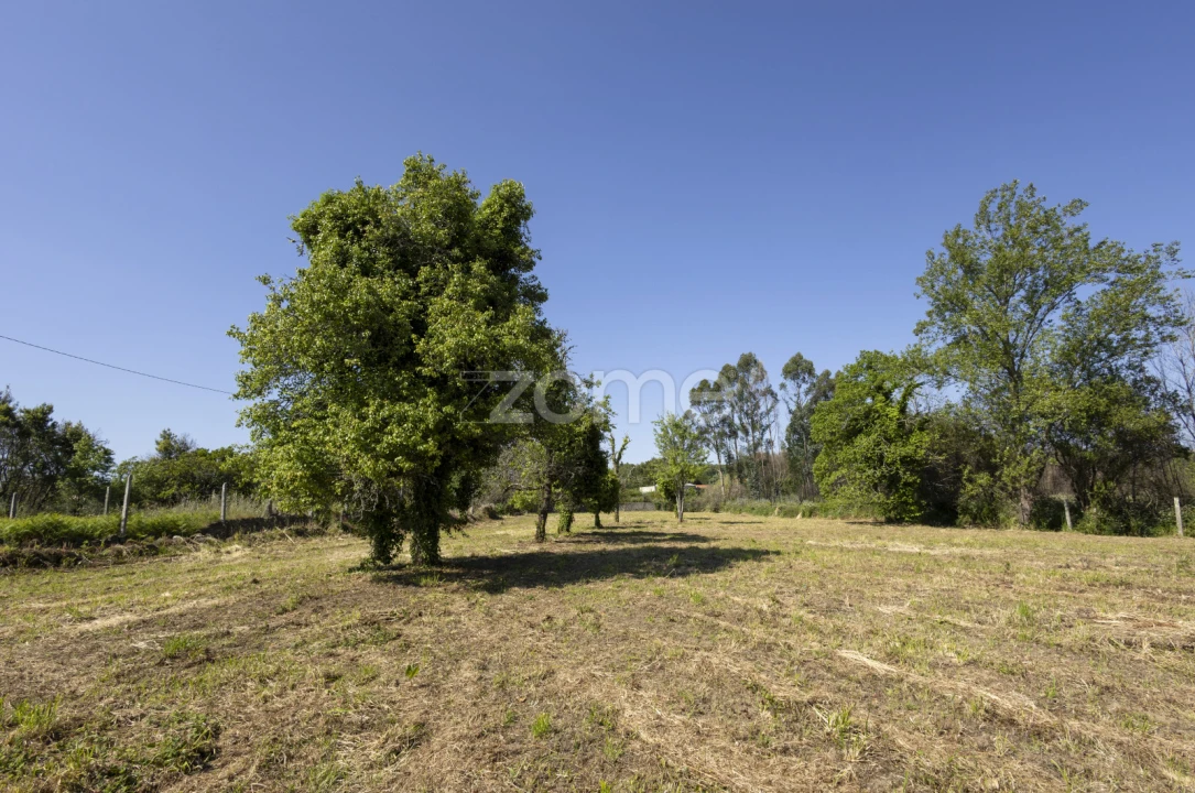 Terreno para Venda em Grijó e Sermonde Foto 1