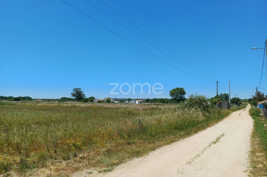 Terreno para Venda em São Miguel de Machede Foto 3