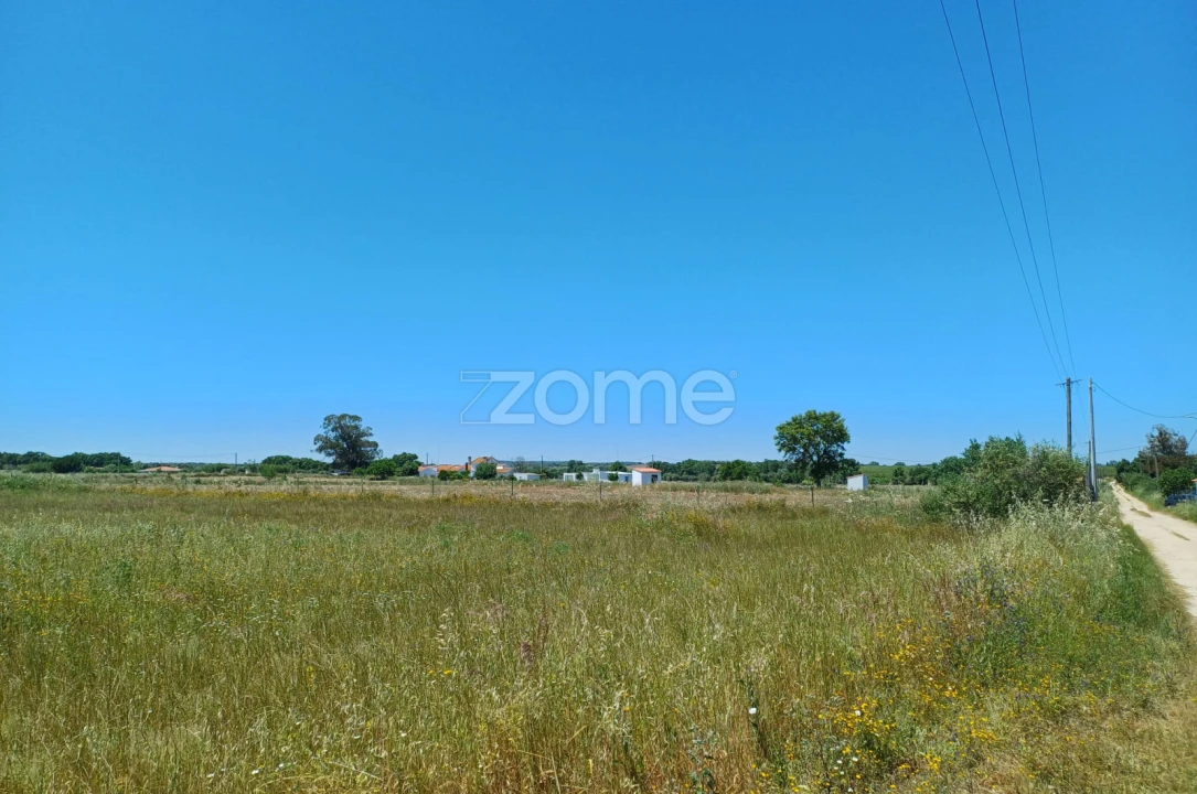 Terreno para Venda em São Miguel de Machede Foto 4