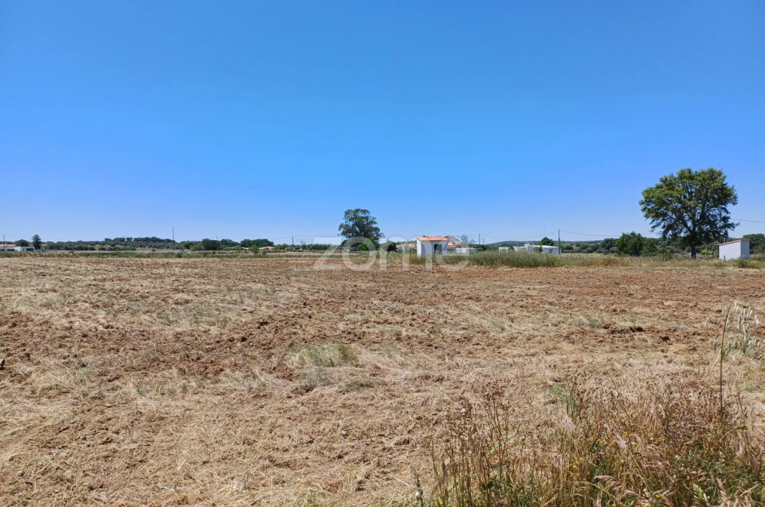 Terreno para Venda em São Miguel de Machede Foto 9