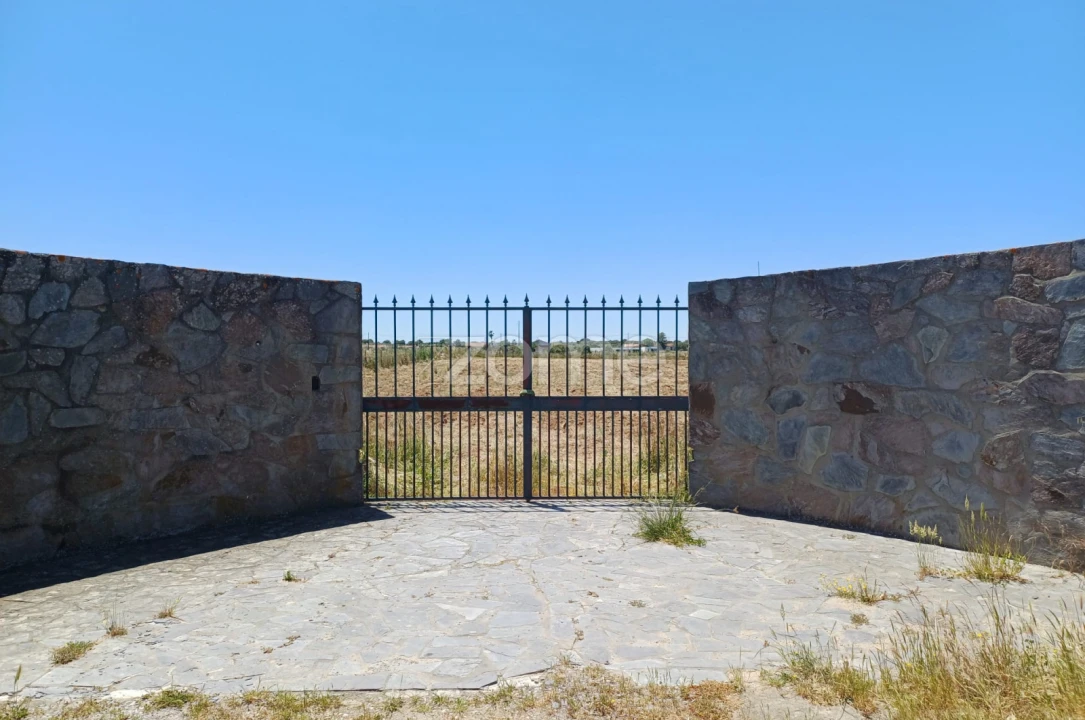 Terreno para Venda em São Miguel de Machede Foto 14