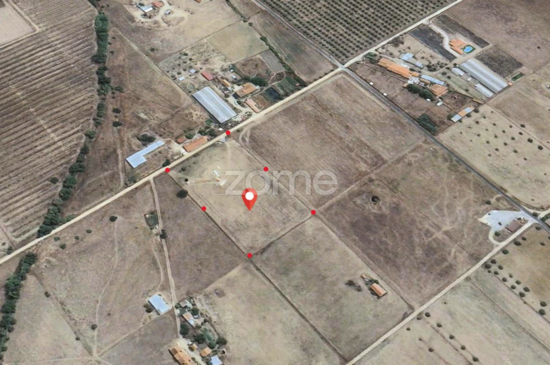 Terreno para Venda em São Miguel de Machede Foto 16