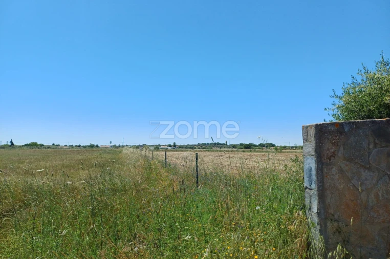 Terreno para Venda em São Miguel de Machede Foto 3
