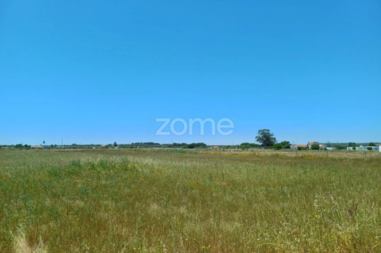 Terreno para Venda em São Miguel de Machede Foto 6