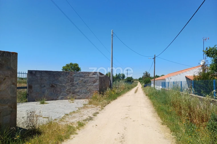 Terreno para Venda em São Miguel de Machede Foto 7