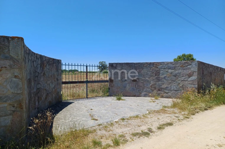 Terreno para Venda em São Miguel de Machede