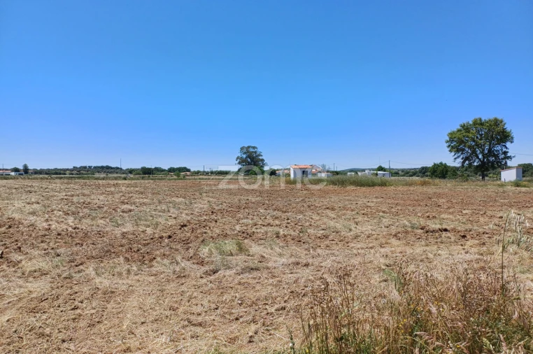 Terreno para Venda em São Miguel de Machede Foto 8