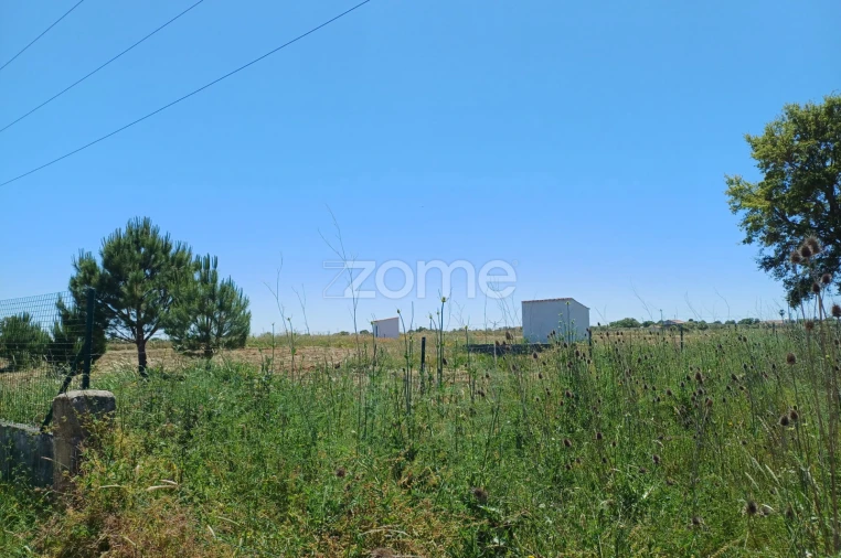 Terreno para Venda em São Miguel de Machede Foto 11