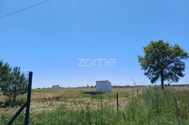 Terreno para Venda em São Miguel de Machede Foto 10