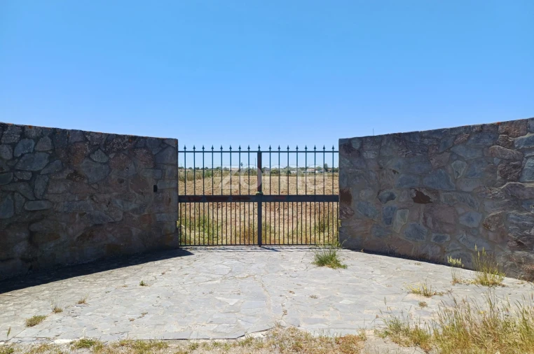Terreno para Venda em São Miguel de Machede Foto 14