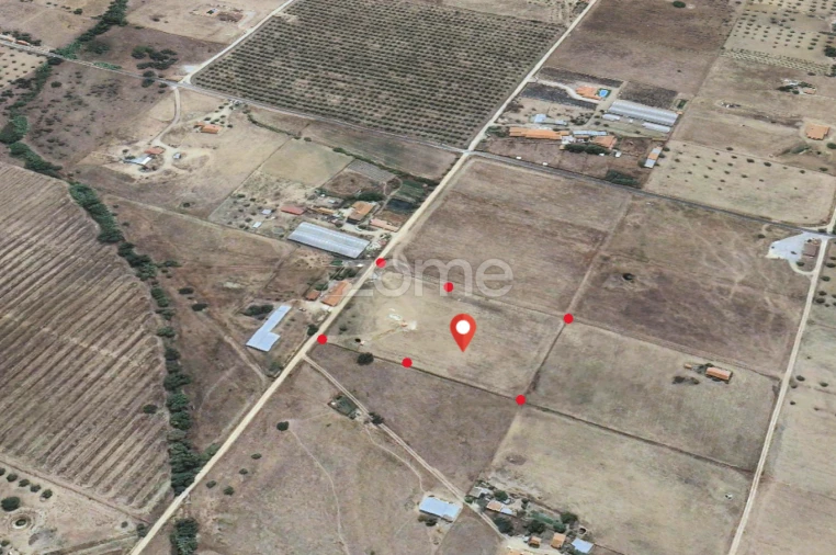 Terreno para Venda em São Miguel de Machede Foto 17