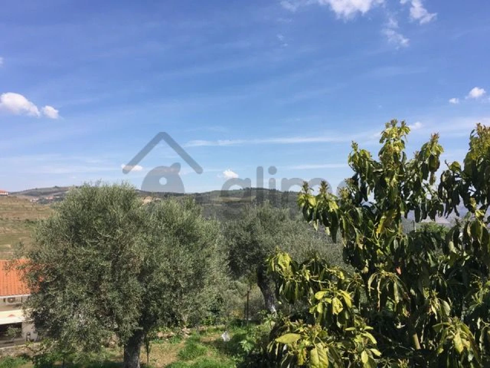 Moradia T3 para Venda em Vale Mendiz, Casal Loivos, Vilarinho Cotas Foto 24