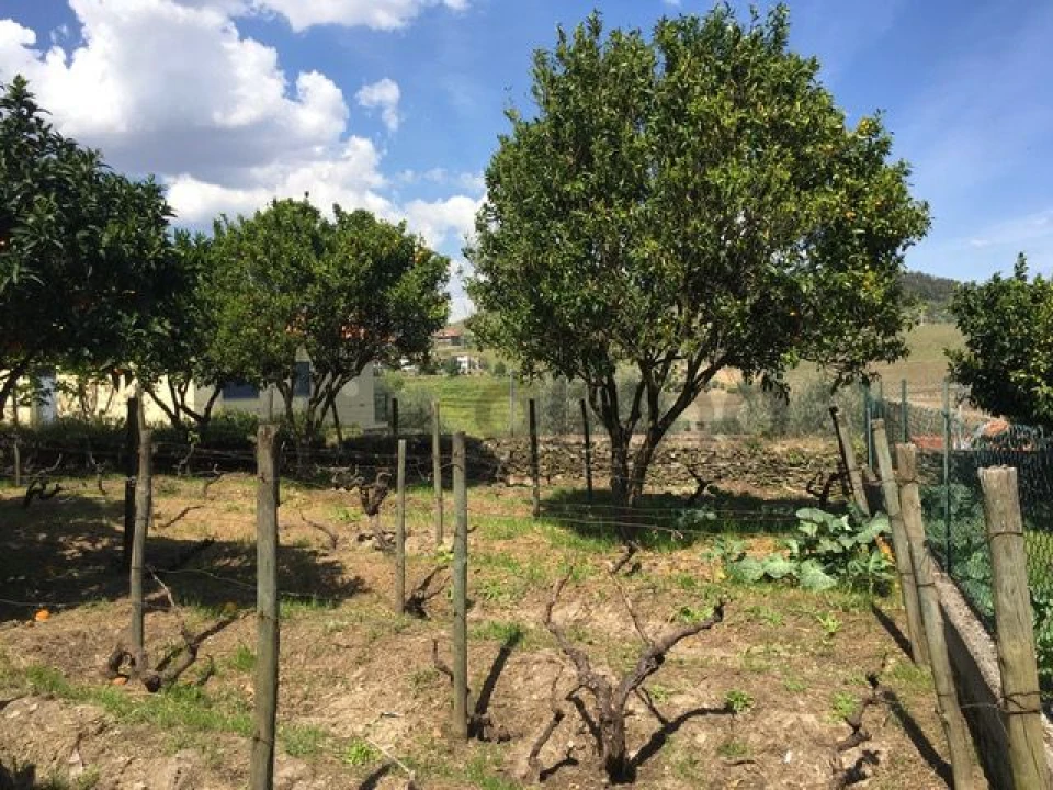 Moradia T3 para Venda em Vale Mendiz, Casal Loivos, Vilarinho Cotas Foto 29