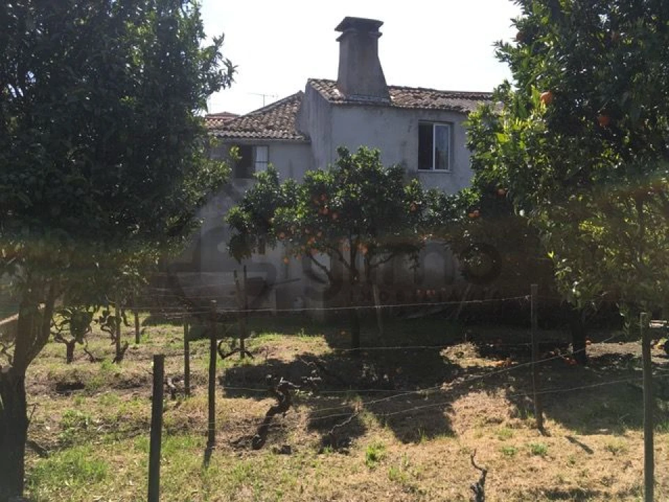 Moradia T3 para Venda em Vale Mendiz, Casal Loivos, Vilarinho Cotas Foto 36