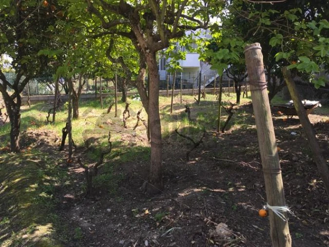 Moradia T3 para Venda em Vale Mendiz, Casal Loivos, Vilarinho Cotas Foto 38