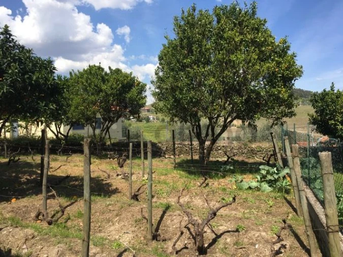 Moradia T3 para Venda em Vale Mendiz, Casal Loivos, Vilarinho Cotas Foto 29