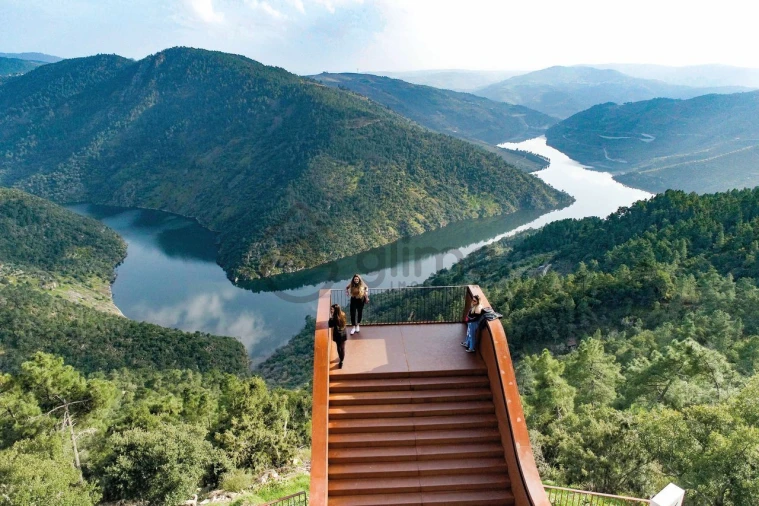 Moradia T3 para Venda em Vale Mendiz, Casal Loivos, Vilarinho Cotas Foto 45