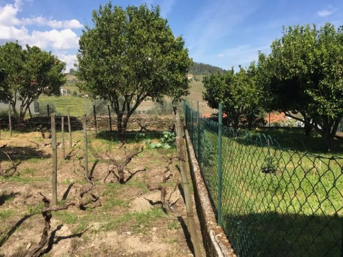 Moradia T3 para Venda em Vale Mendiz, Casal Loivos, Vilarinho Cotas Foto 27