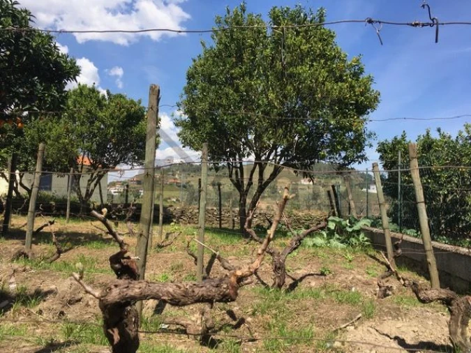 Moradia T3 para Venda em Vale Mendiz, Casal Loivos, Vilarinho Cotas Foto 32