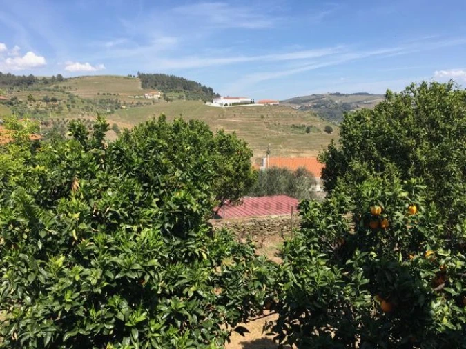 Moradia T3 para Venda em Vale Mendiz, Casal Loivos, Vilarinho Cotas Foto 16