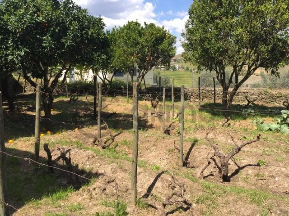 Moradia T3 para Venda em Vale Mendiz, Casal Loivos, Vilarinho Cotas Foto 17