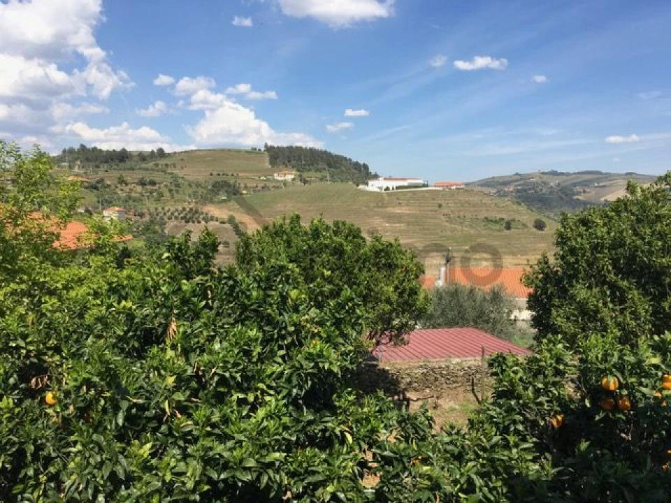 Moradia T3 para Venda em Vale Mendiz, Casal Loivos, Vilarinho Cotas Foto 18