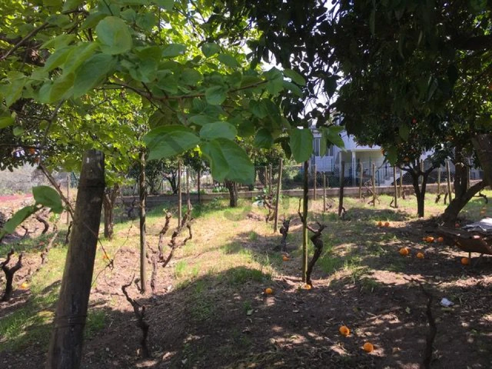 Moradia T3 para Venda em Vale Mendiz, Casal Loivos, Vilarinho Cotas Foto 39