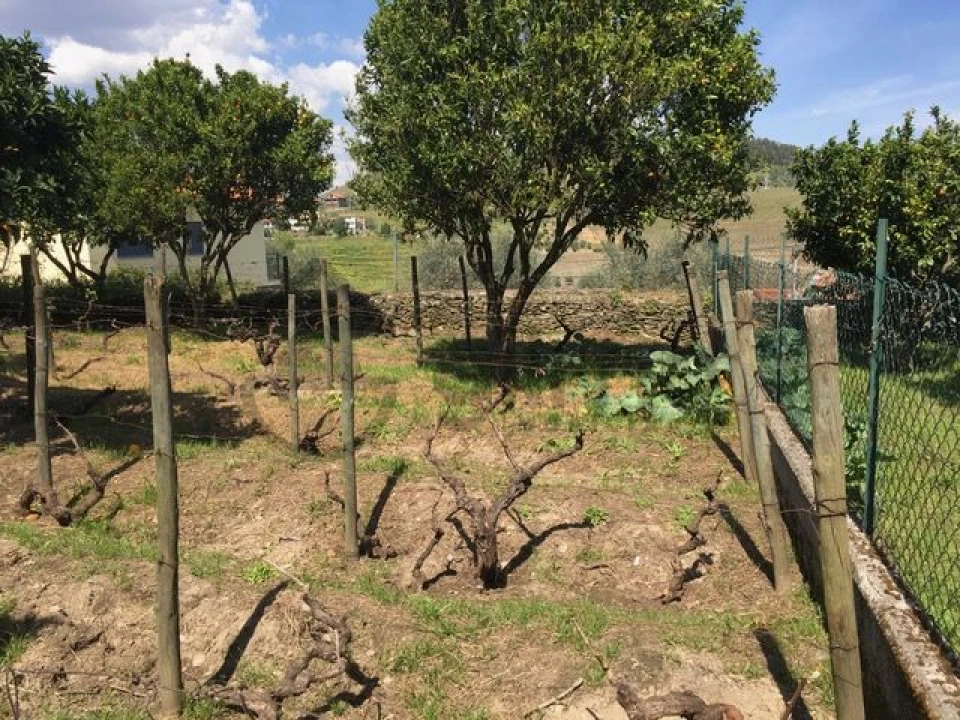 Moradia T3 para Venda em Vale Mendiz, Casal Loivos, Vilarinho Cotas Foto 28