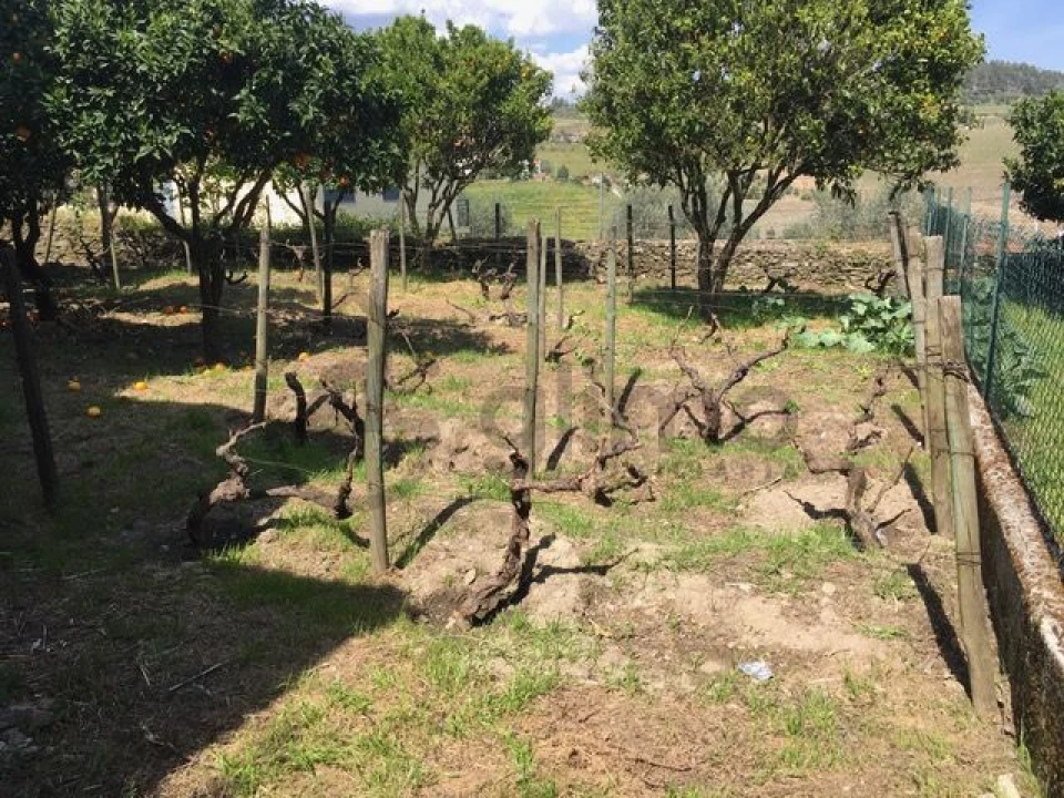 Moradia T3 para Venda em Vale Mendiz, Casal Loivos, Vilarinho Cotas Foto 26