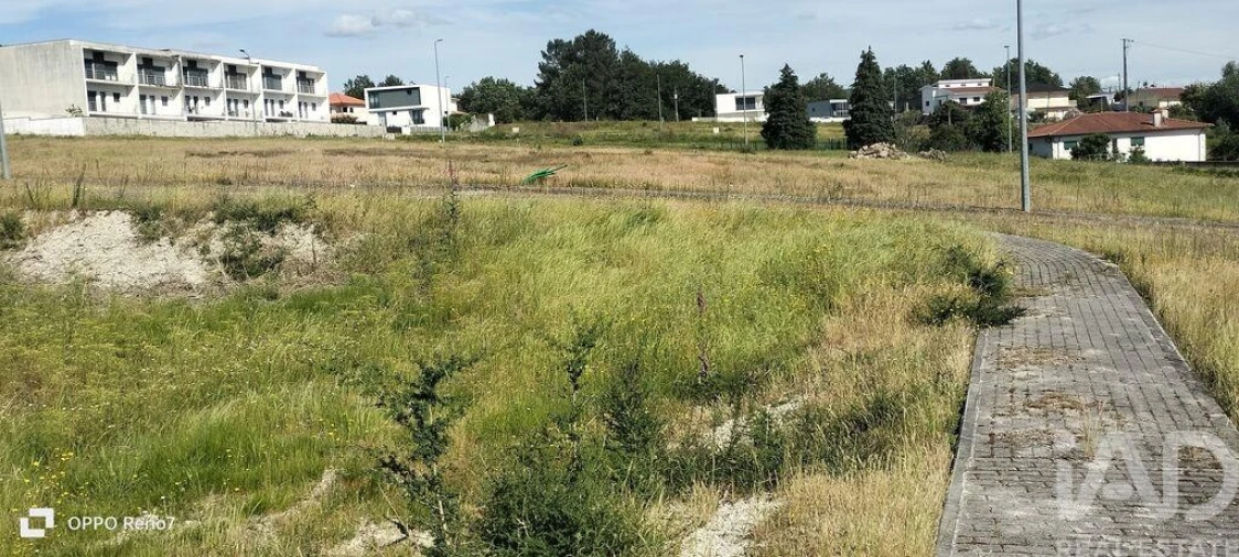 Terreno para Venda em Fonte Arcada e Oliveira Foto 19