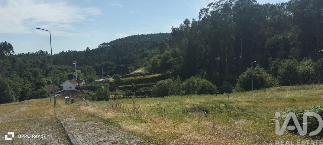 Terreno para Venda em Fonte Arcada e Oliveira Foto 25