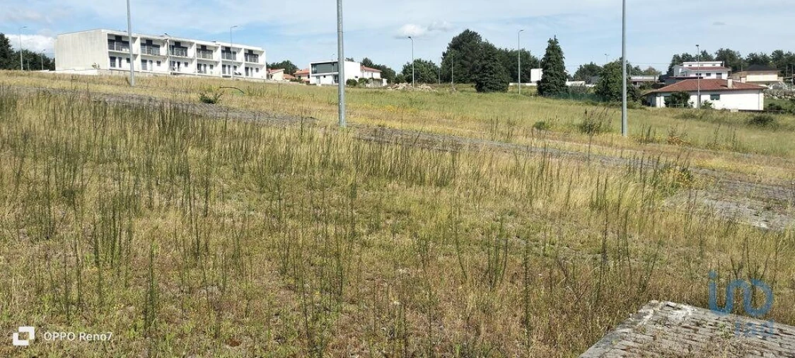 Terreno para Venda em Fonte Arcada e Oliveira Foto 14