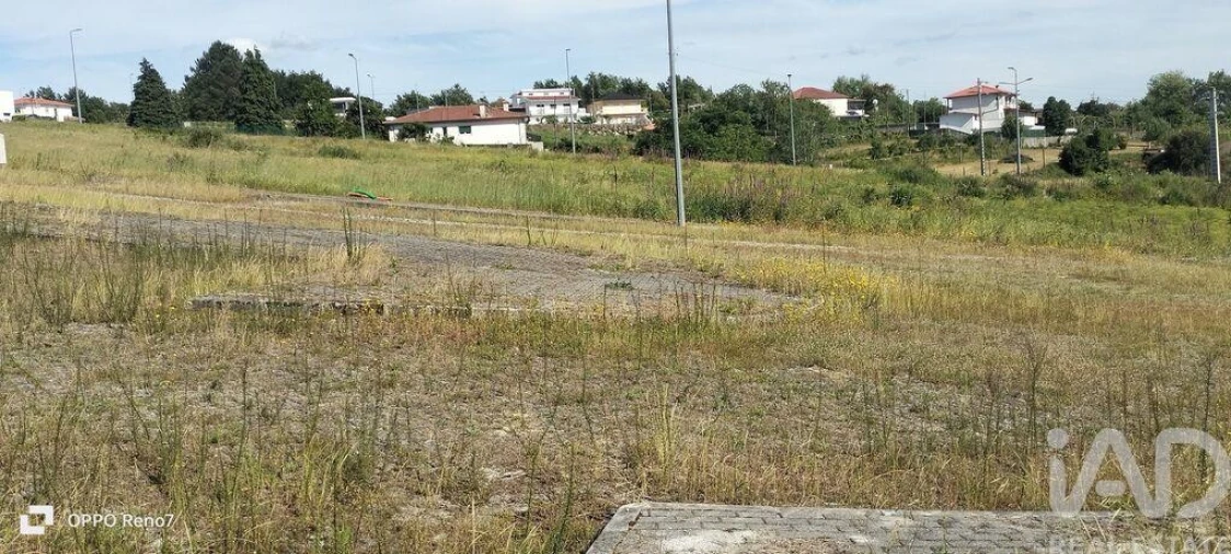 Terreno para Venda em Fonte Arcada e Oliveira Foto 16