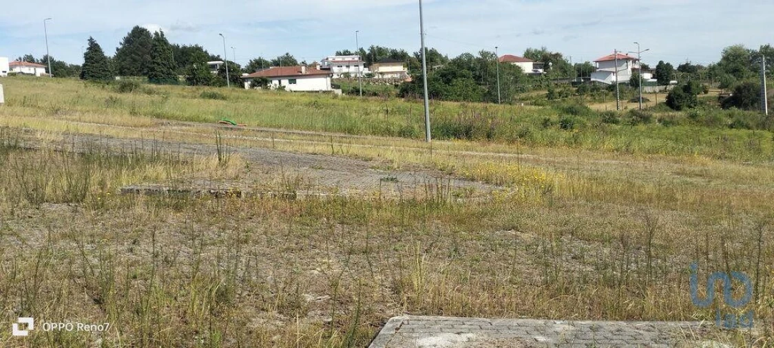 Terreno para Venda em Fonte Arcada e Oliveira Foto 11
