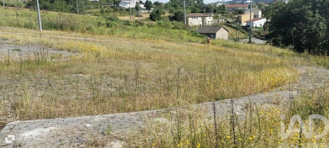 Terreno para Venda em Fonte Arcada e Oliveira Foto 15