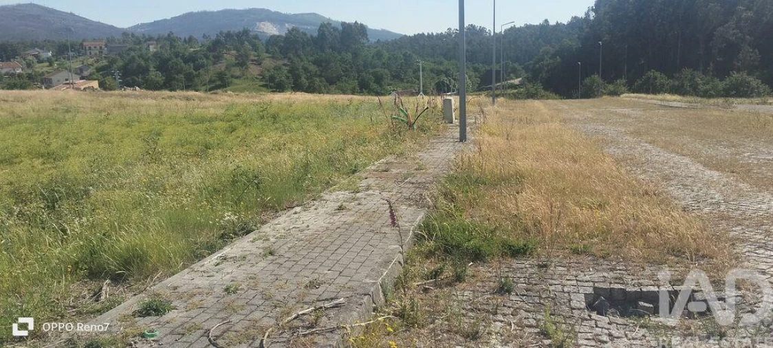 Terreno para Venda em Fonte Arcada e Oliveira Foto 28