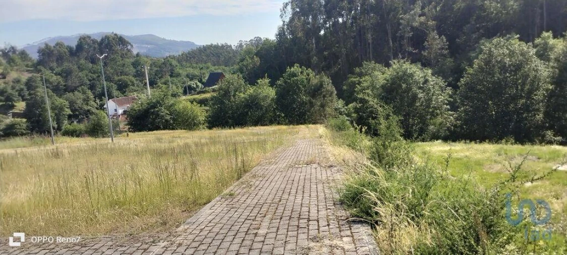 Terreno para Venda em Fonte Arcada e Oliveira Foto 13