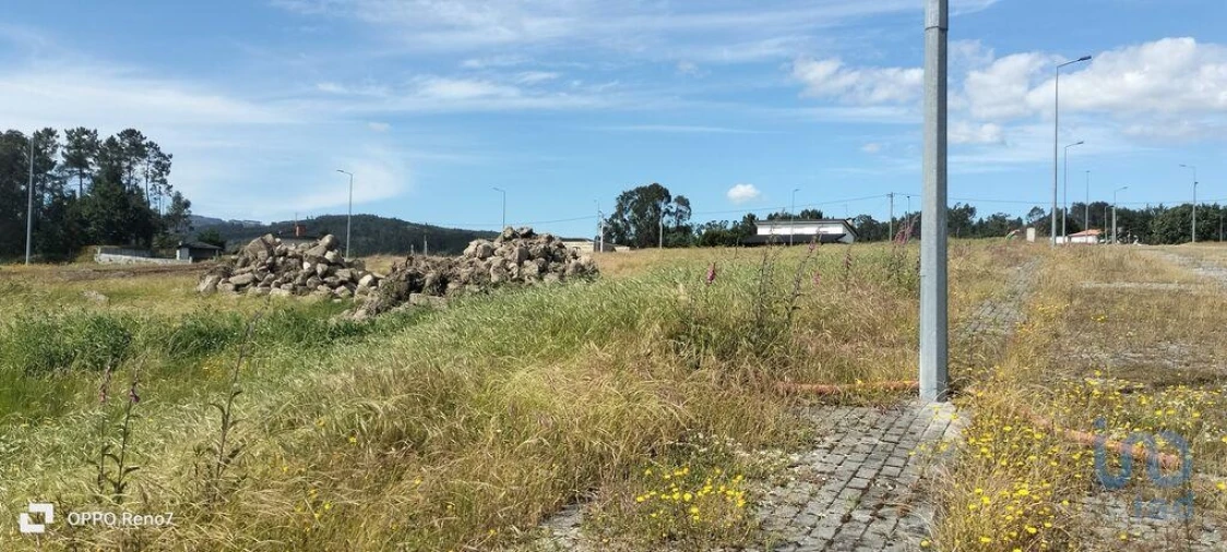 Terreno para Venda em Fonte Arcada e Oliveira Foto 6