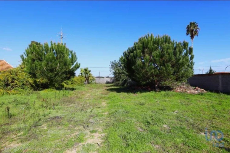 Terreno para Venda em Salvaterra de Magos e Foros de Salvaterra Foto 4