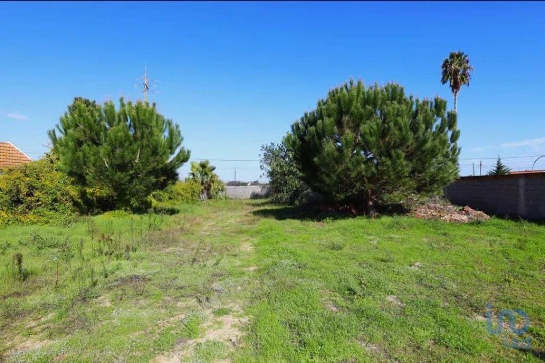 Terreno para Venda em Salvaterra de Magos e Foros de Salvaterra Foto 4