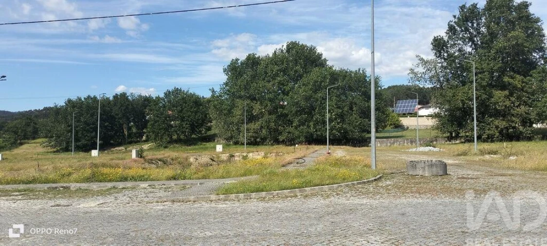 Terreno para Venda em Fonte Arcada e Oliveira Foto 23