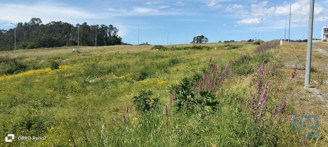 Terreno para Venda em Fonte Arcada e Oliveira Foto 5